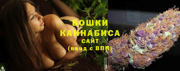 крисы Вяземский