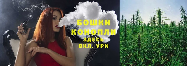 крисы Вяземский