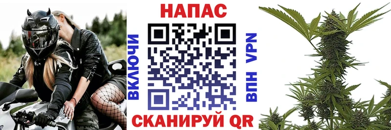 купить наркоту Опочка Конопля конопля
